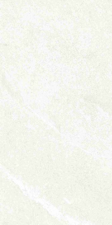 Dhara White Matte 12 x 24